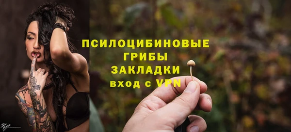 гашик Верхнеуральск