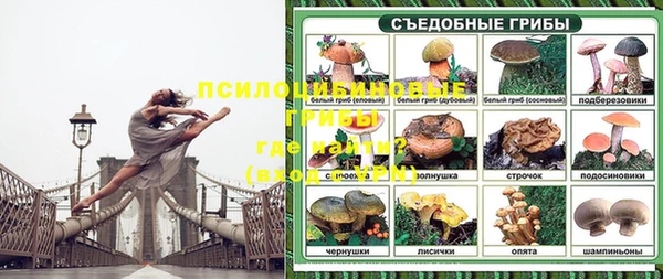 ALPHA-PVP Верхний Тагил