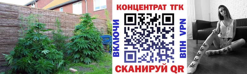 Дистиллят ТГК вейп с тгк Купить где Хабаровск