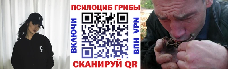Купить где Хабаровск Галлюциногенные грибы MAGIC MUSHROOMS